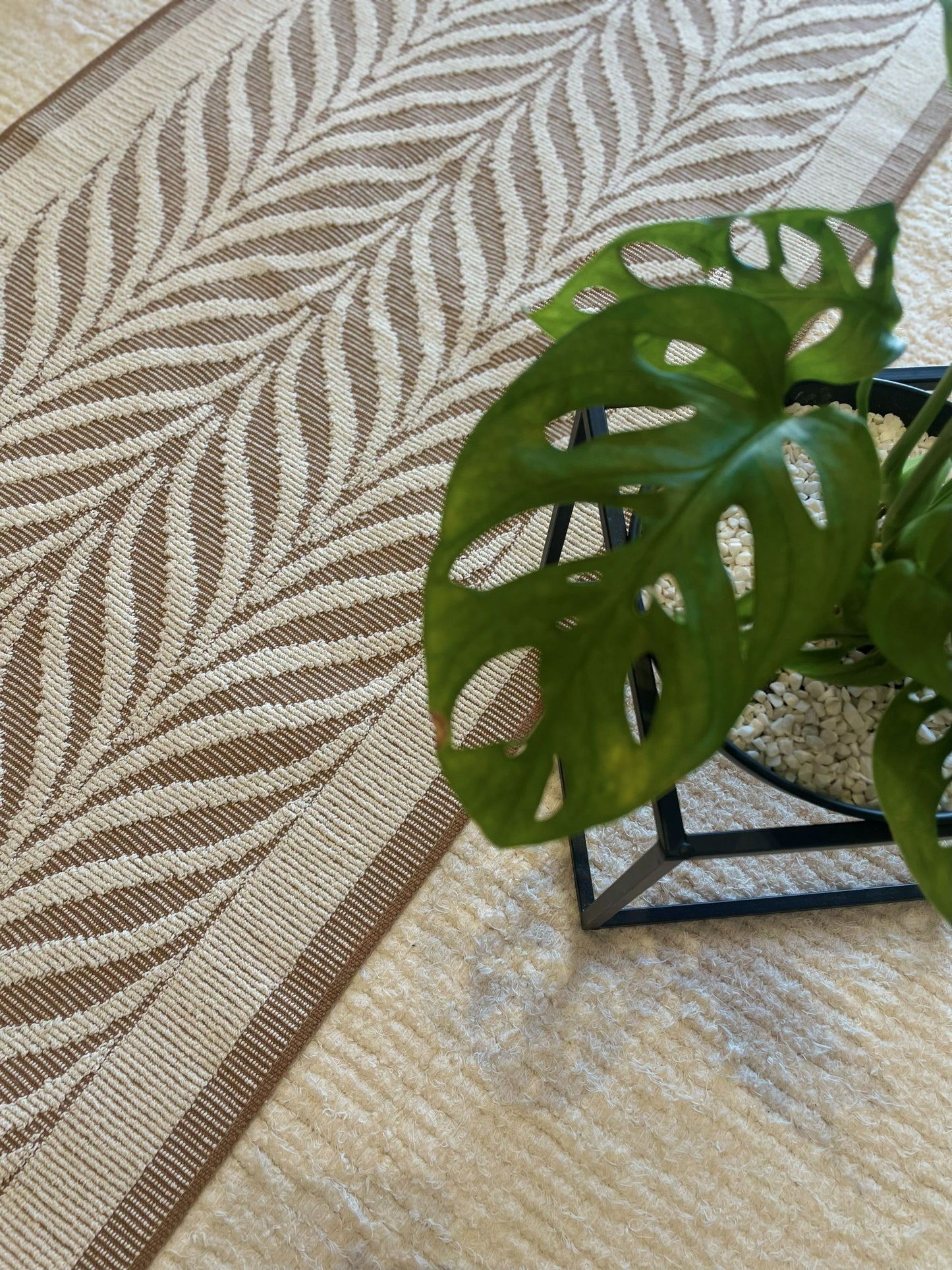 PASSADEIRA FOLHA CARAMELO