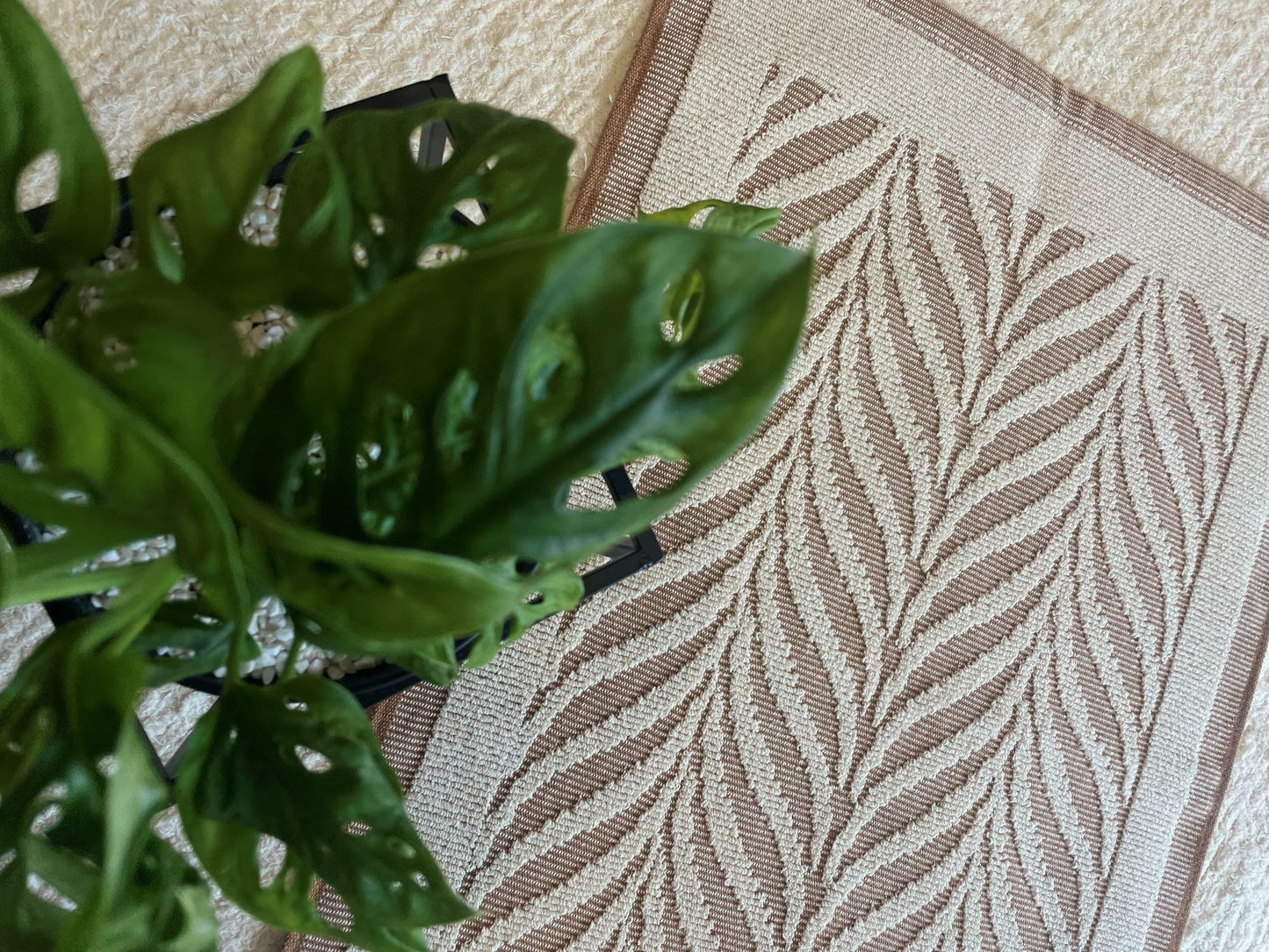 TAPETINHO FOLHA CARAMELO