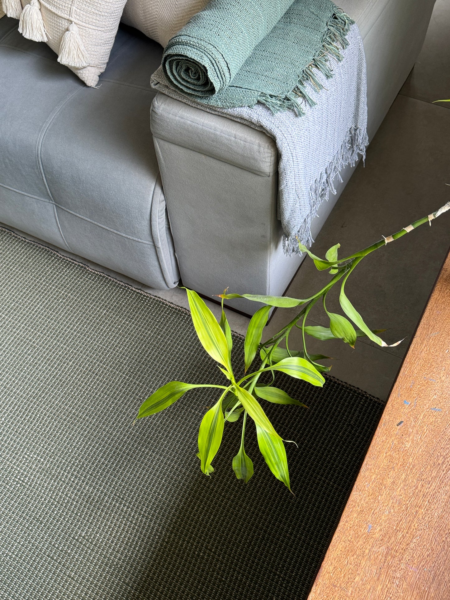 TAPETE CLÁSSICO DUPLO VERDE 200x300cm